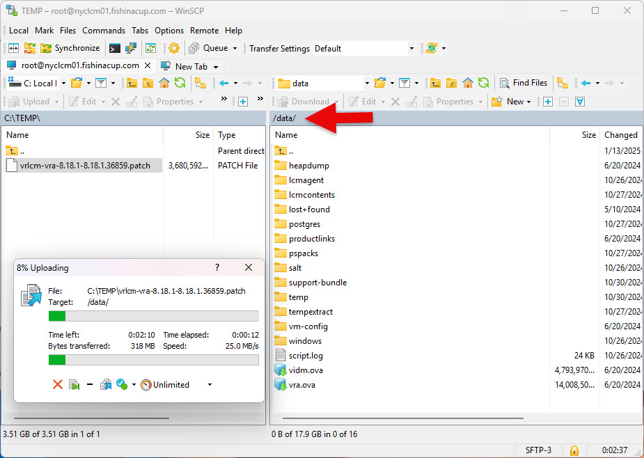 Transfer patch binary to LCM via WinSCP